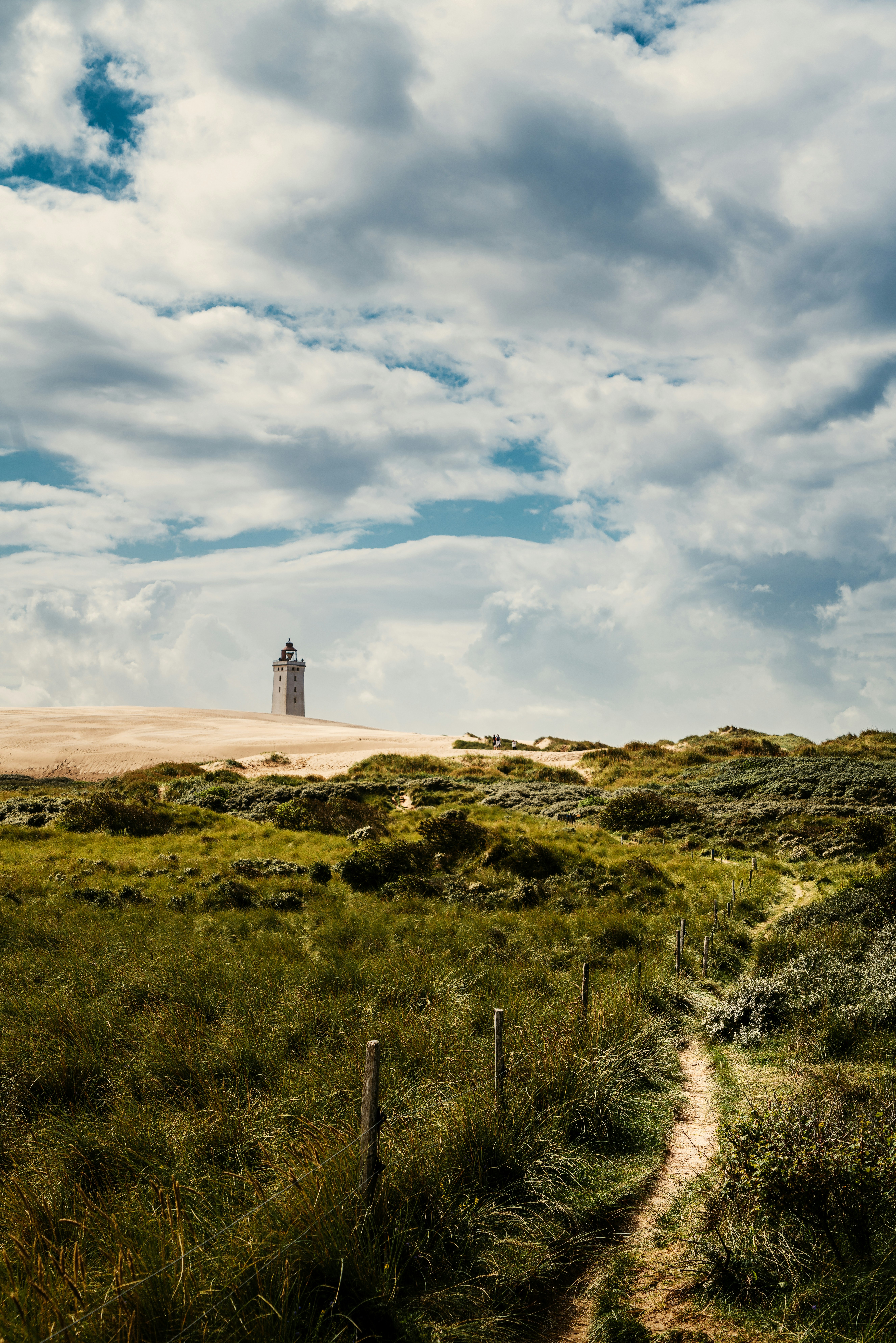 Waldlandschaft